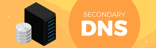 Importanța DNS-ului secundar